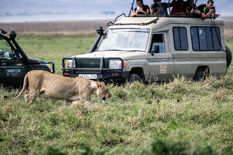 TZA ARU Ngorongoro 2016DEC26 Crater 070